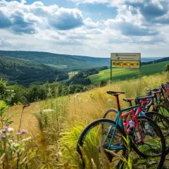 Śląski Związek Kolarski: Czym wyróżnia się na tle innych regionów?