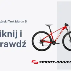 Ile kosztuje rower? Ceny modeli i przydatne wskazówki przy zakupie