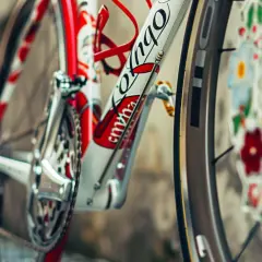 Wioślarze Colnago: Elegancja i wydajność na szosach