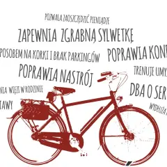 Poznaj wszystkie korzyści z jazdy na rowerze - od zdrowia po portfel
