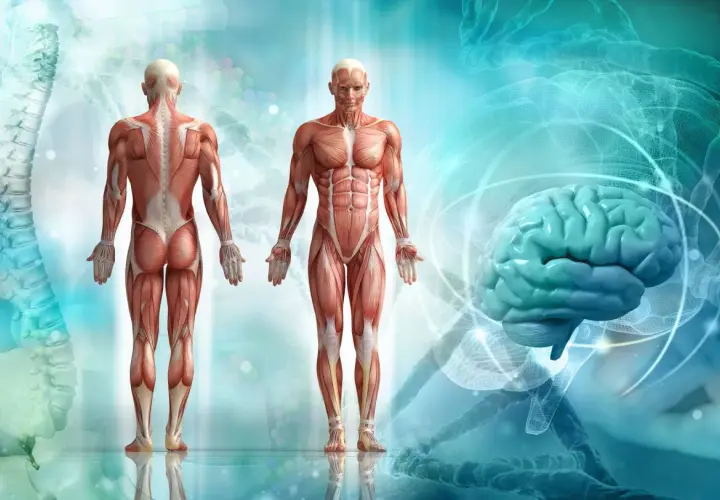 Anatomia kolarza: sylwetka i budowa ciała - Czym się różnią?