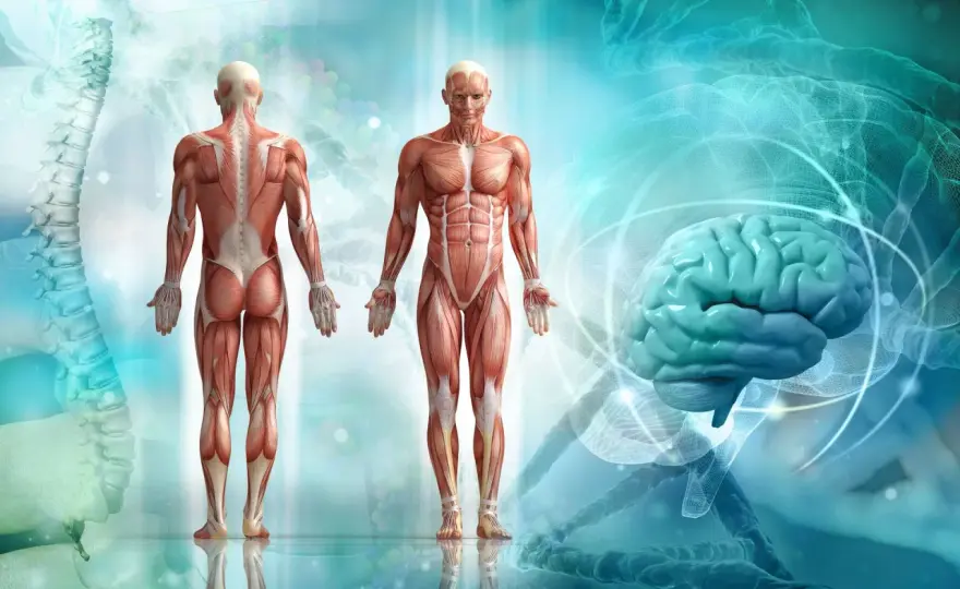 Anatomia kolarza: sylwetka i budowa ciała - Czym się różnią?