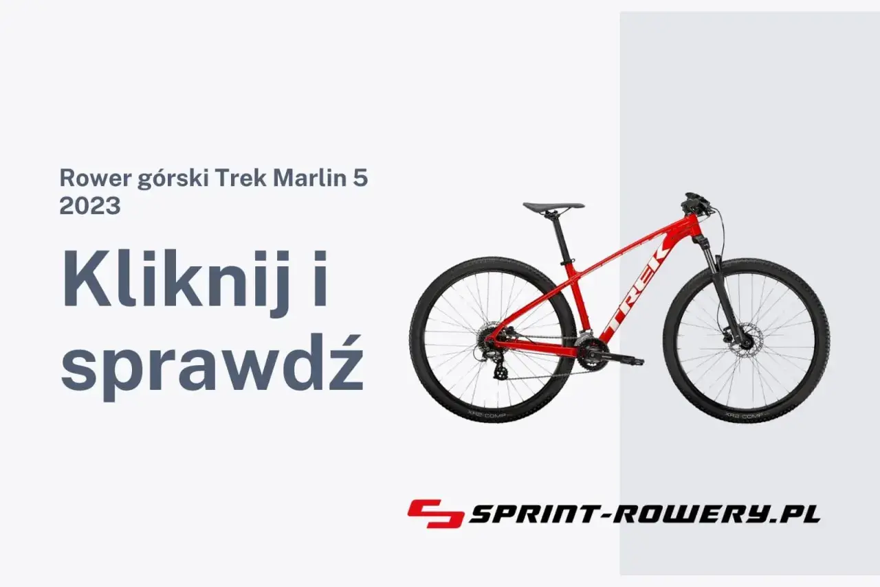 Ile kosztuje rower? Ceny modeli i przydatne wskazówki przy zakupie